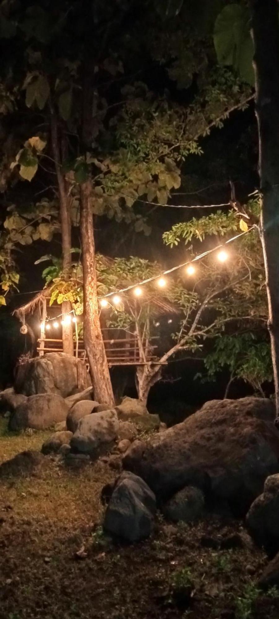 Tiu Batu Homestay Alas Екстериор снимка